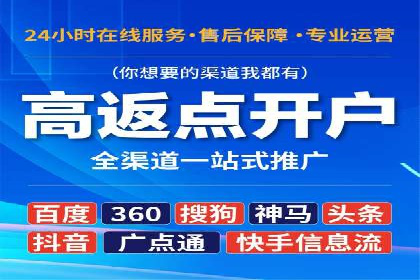 某电商平台的SEM推广实践与效果展示